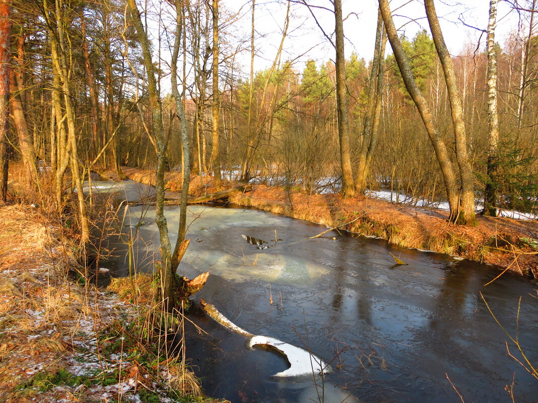 Маленькая речка - Андрей Снегерёв
