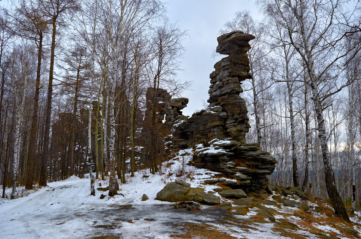 В ноябрьский пасмурный денёк. - Юрий кот