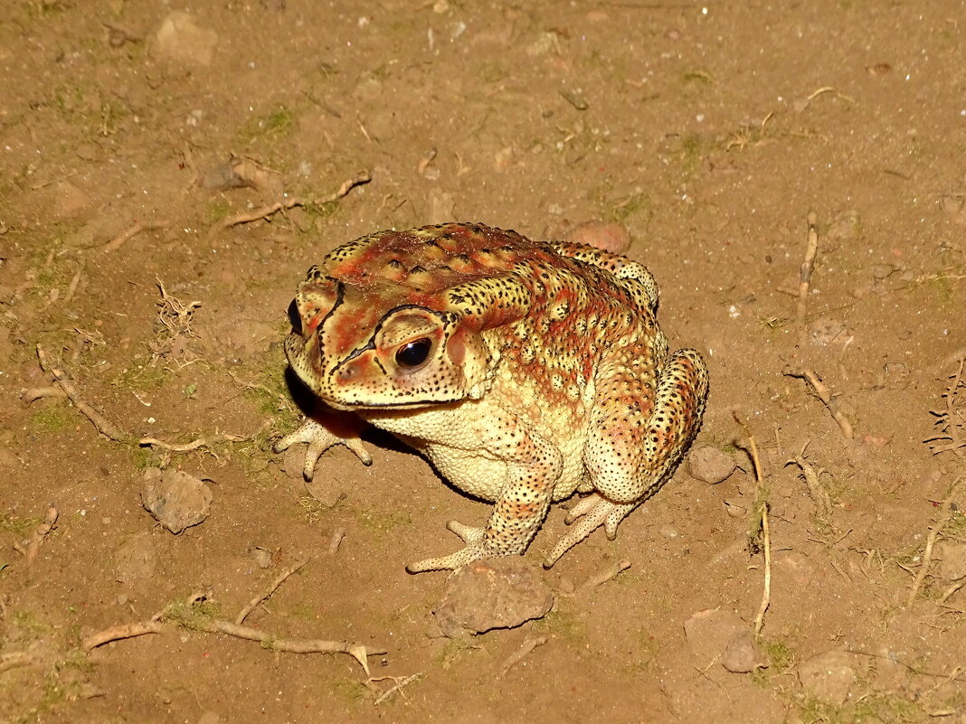 Поцелуй же меня! - Павел Трунцев Поцелуй же меня! - Павел Трунцев