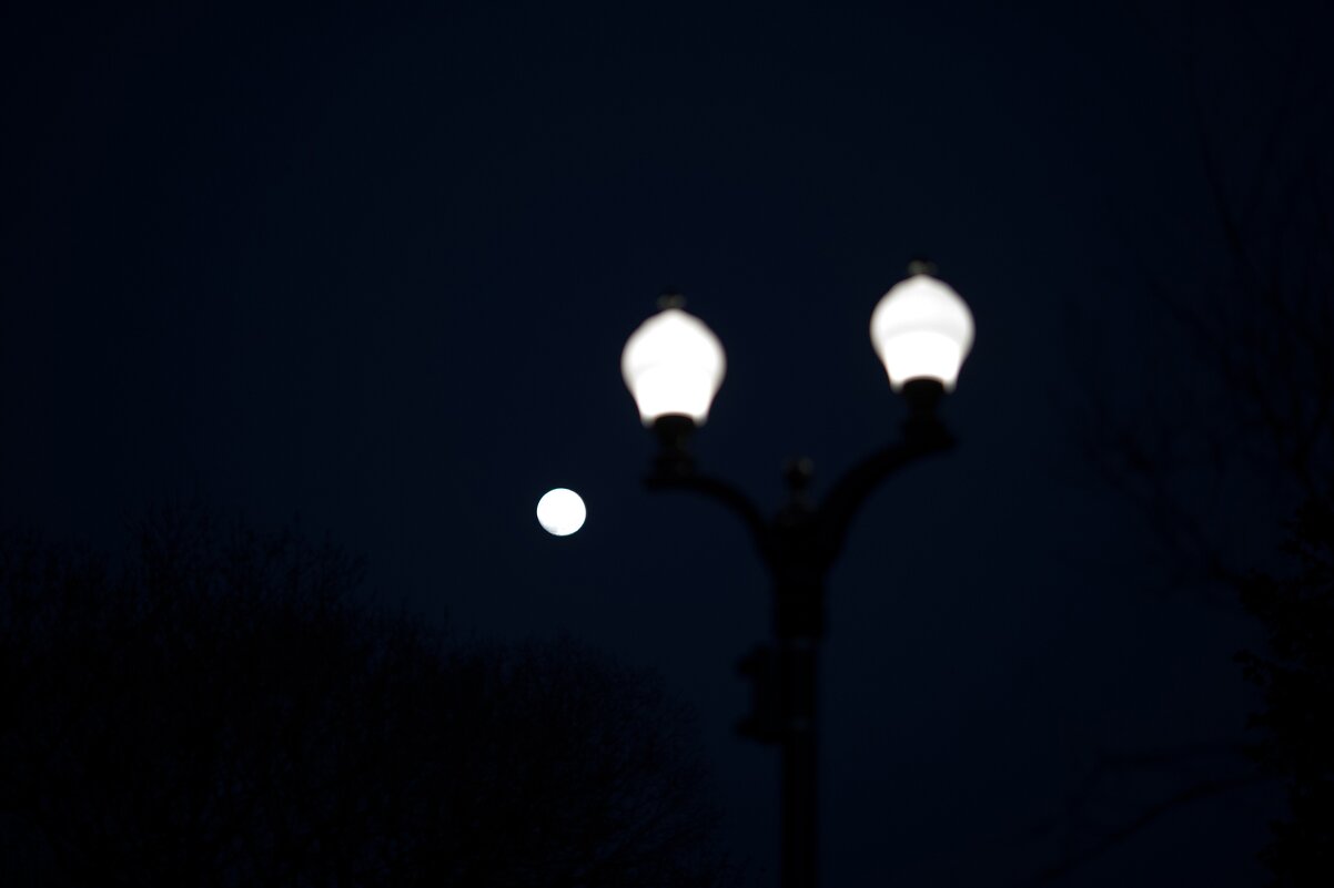 На троих - Светлана Тихонина На троих - Светлана Тихонина