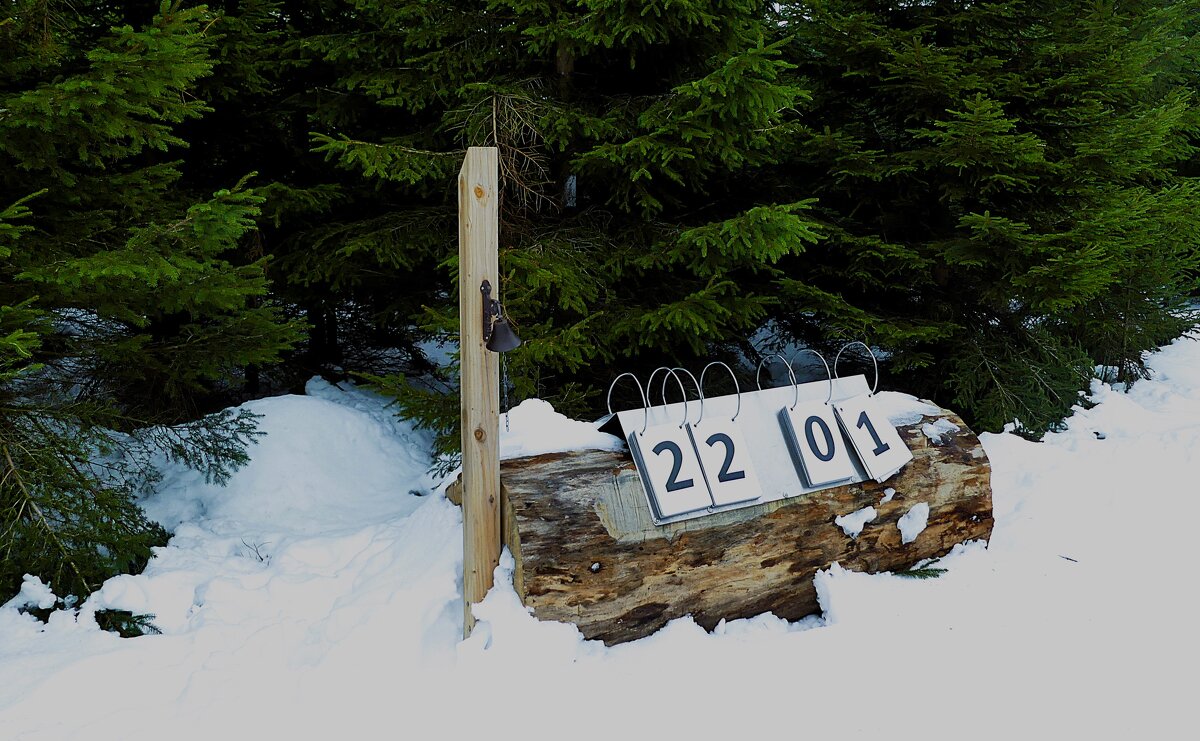 Хорошо в лесу зимой(серия) - Владимир Манкер