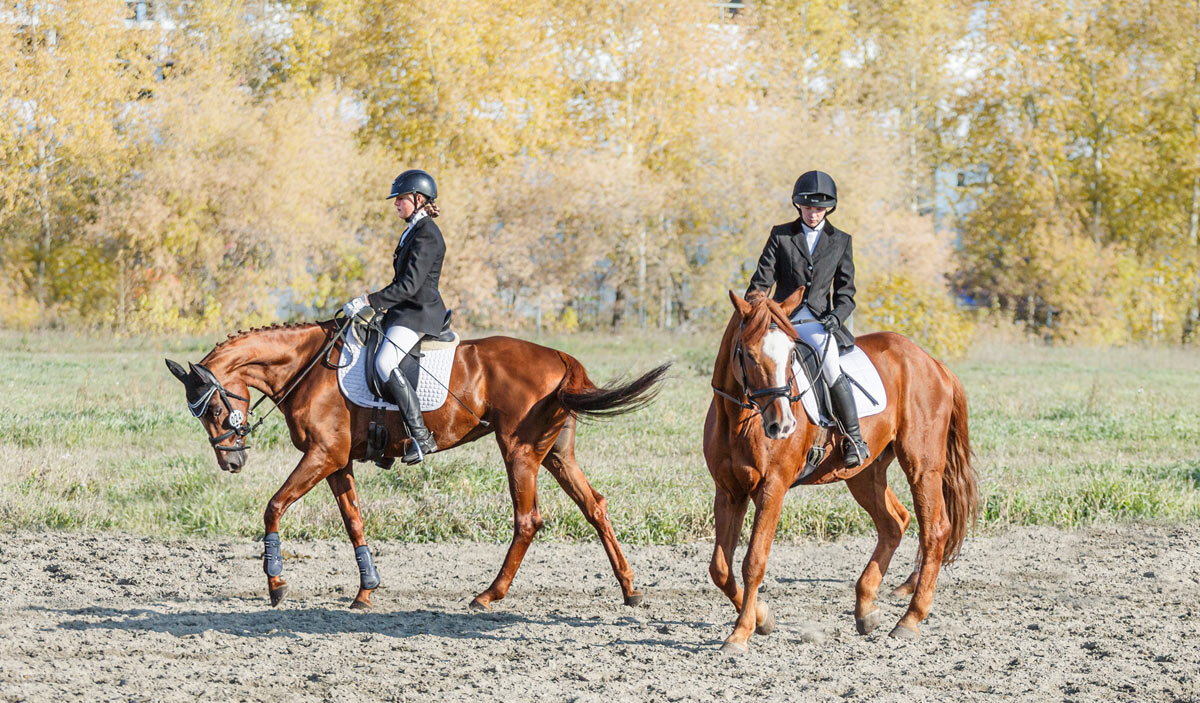 Всадники - SanSan 