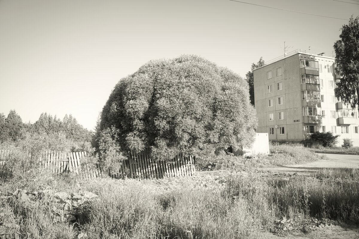 Название отсутствует - Денис Безногов Название отсутствует - Денис Безногов