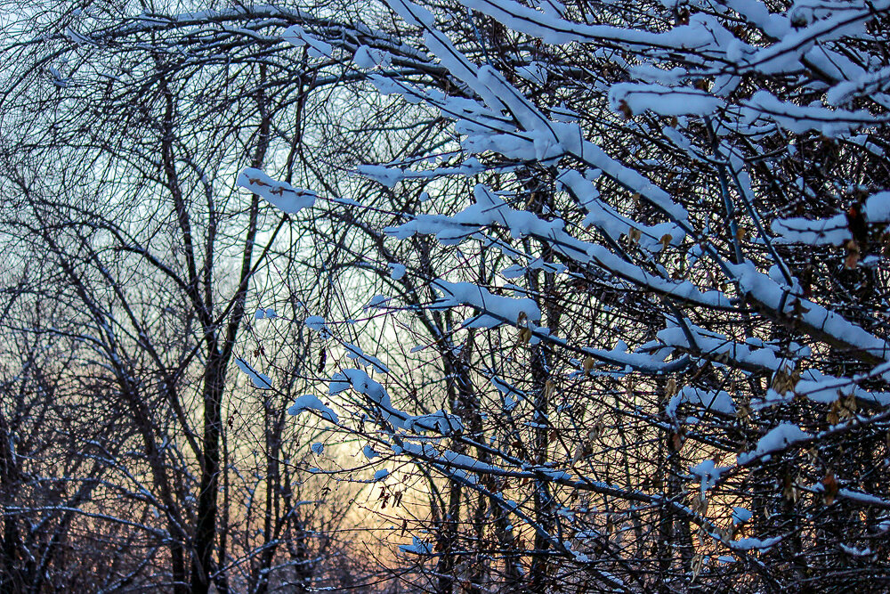 После снегопада - Светлана SvetNika17 После снегопада - Светлана SvetNika17