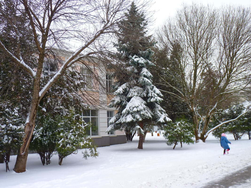 Зима в Крыму - Валентин Семчишин Зима в Крыму - Валентин Семчишин