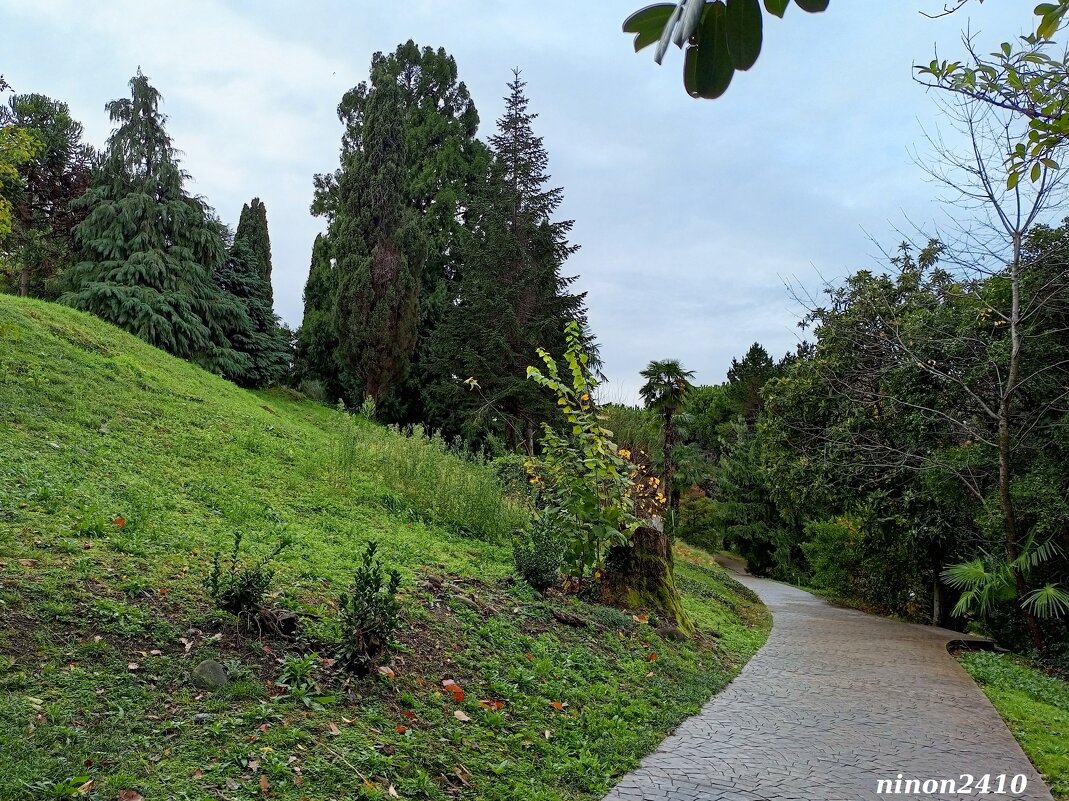 Адлер. Дендропарк "Южные культуры" - Нина Бутко Адлер. Дендропарк "Южные культуры" - Нина Бутко