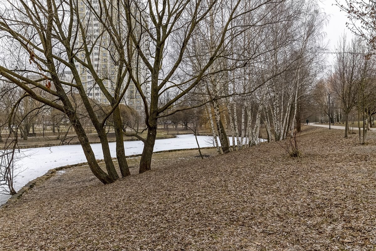 Февральский берег замерзшего пруда - Валерий Иванович