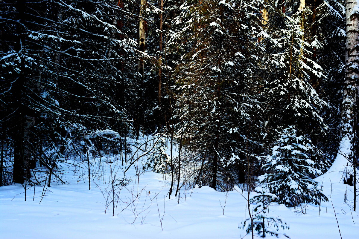 *** - Александр 