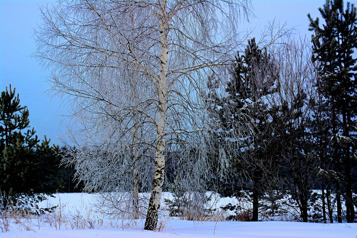 *** - Александр 