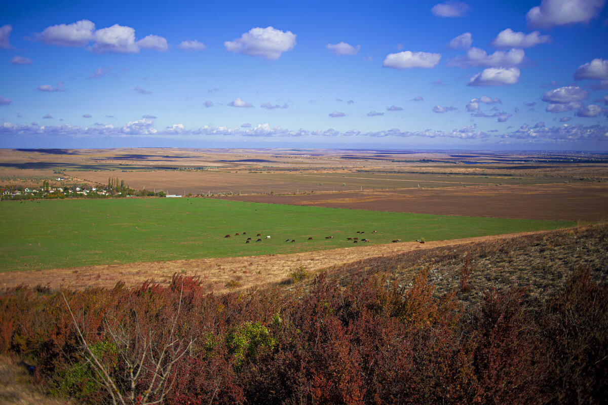 Крым - Яна Горбунова Крым - Яна Горбунова