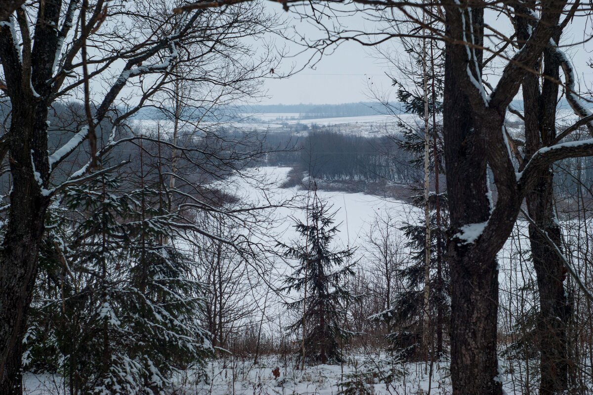 Зимний лес - Дмитрий Ряховский