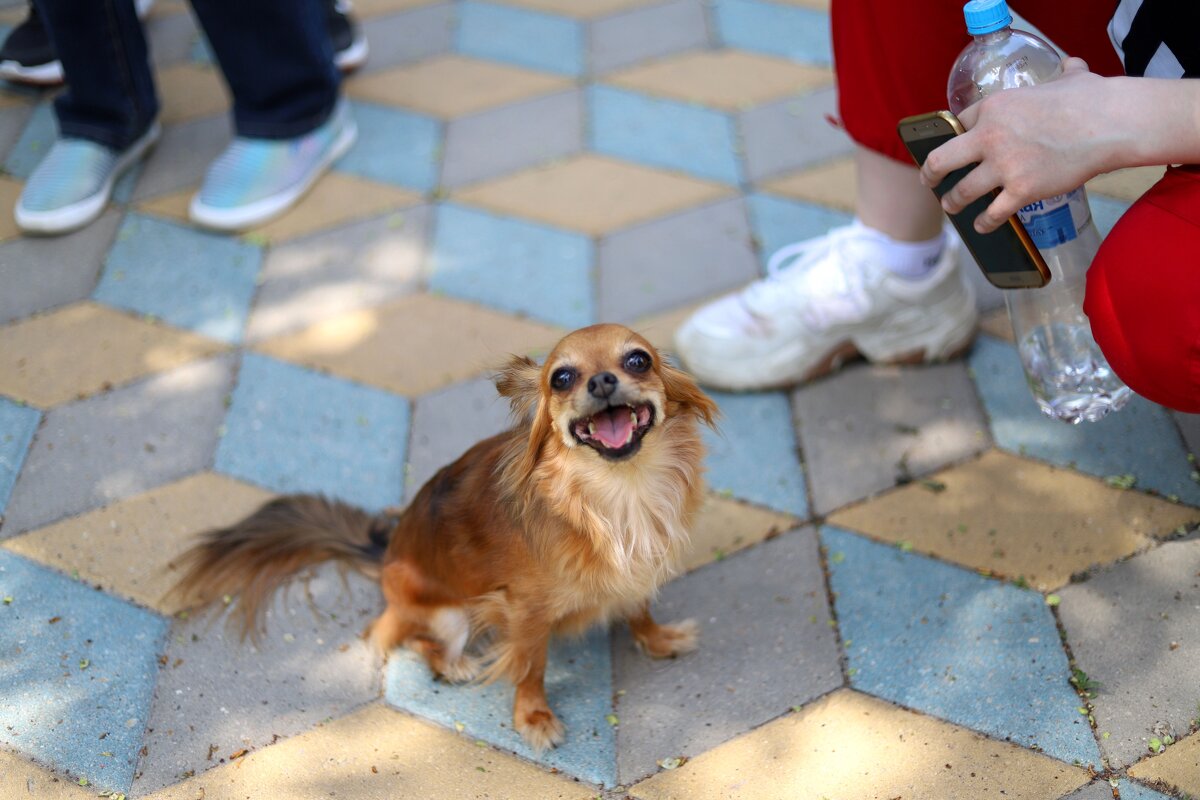 N - Андрей Л. В.