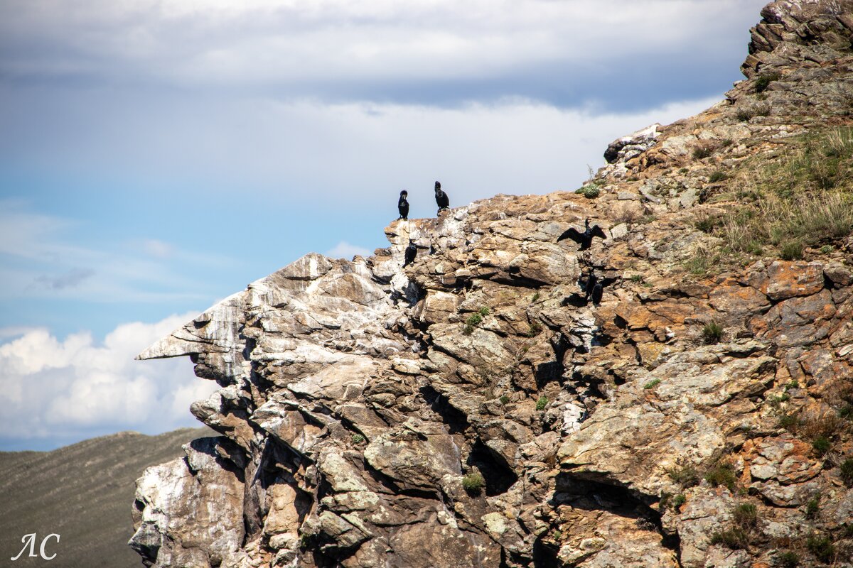 Бакланы - Любовь Сахарова Бакланы - Любовь Сахарова