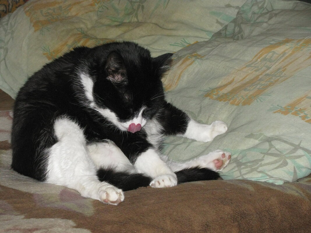 После прогулки - Людмила Смородинская После прогулки - Людмила Смородинская