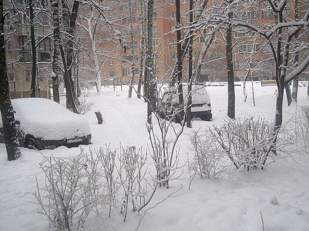 Зимним снежным днем - Елена Семигина Зимним снежным днем - Елена Семигина