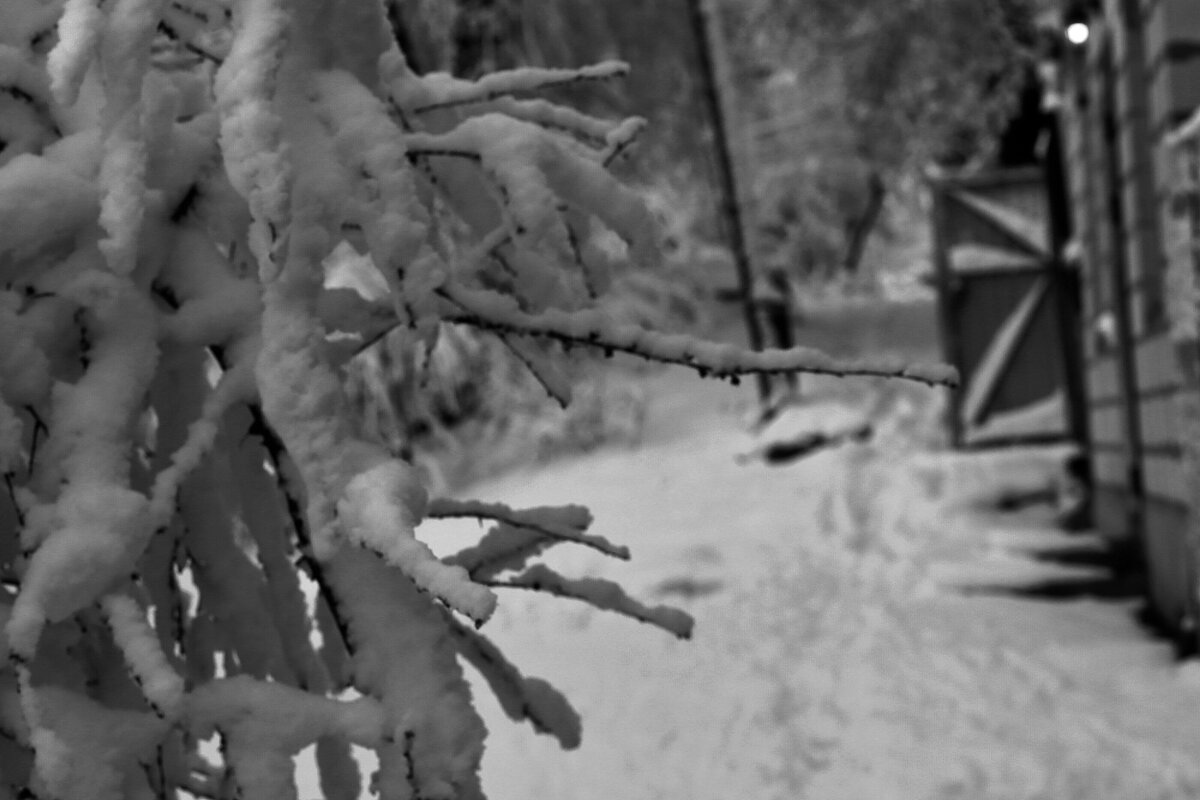 Соскучились по снегу! - Юрий Гайворонскiий