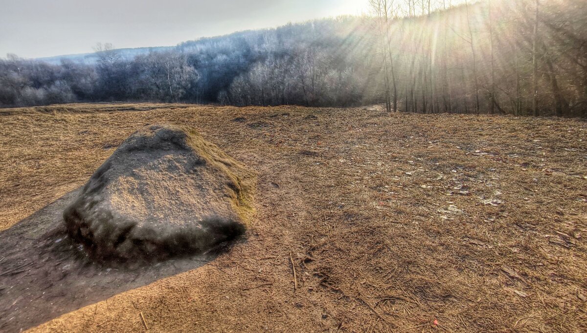 В Царицыно - Наталья Лакомова