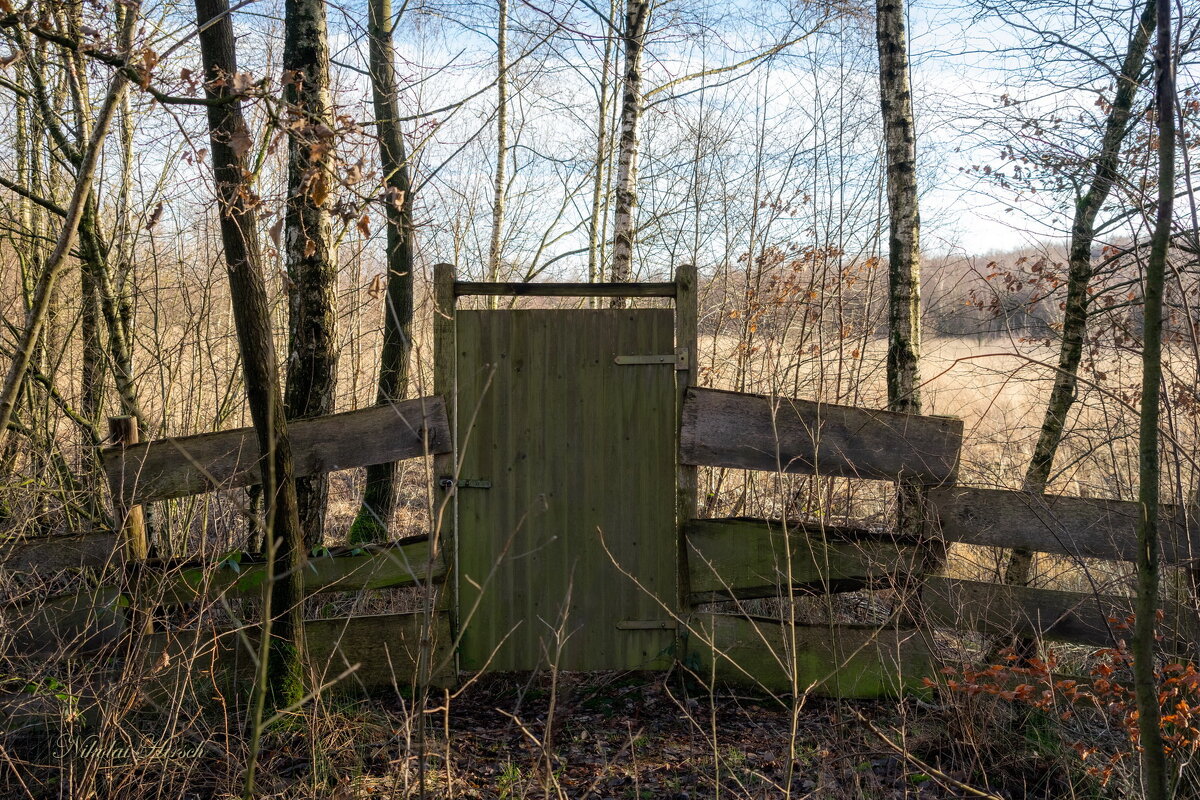 Граница на замке... - Николай Гирш