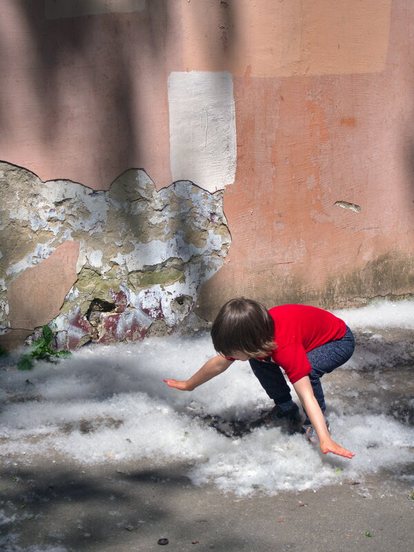 июньский снег ) - Всеволод июньский снег ) - Всеволод