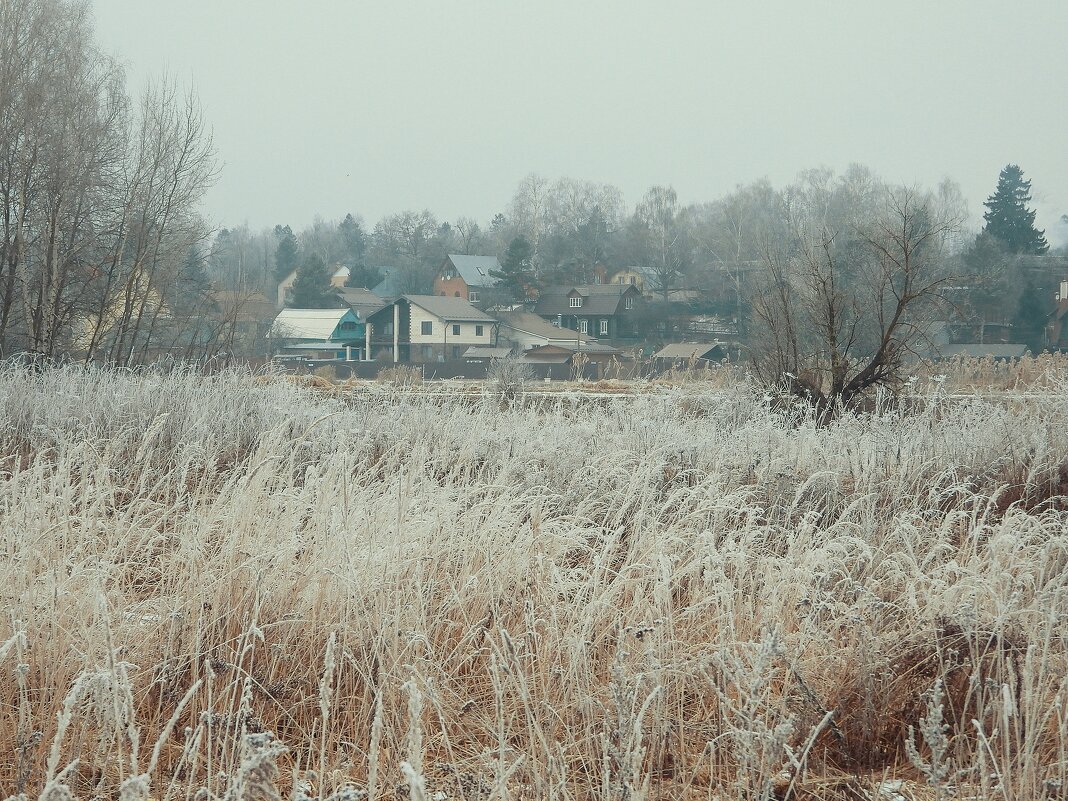 *** - Леонид leo *** - Леонид leo