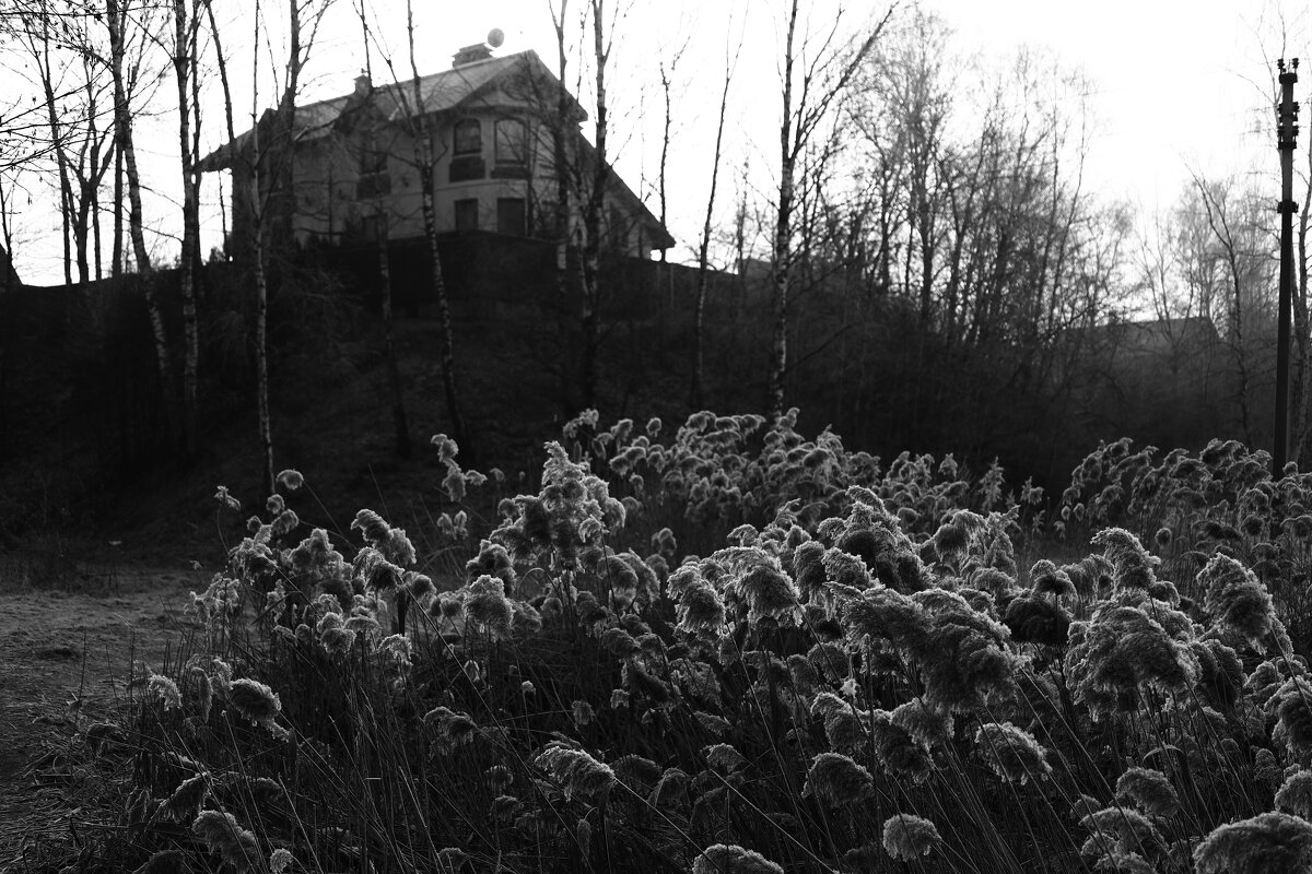 Дом на холме - Dar(k) Life