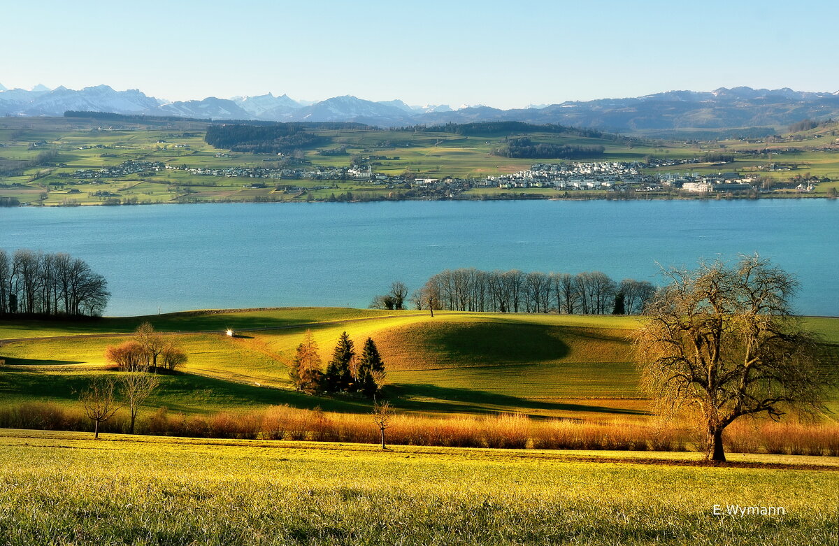 Sempachersee - Elena Wymann