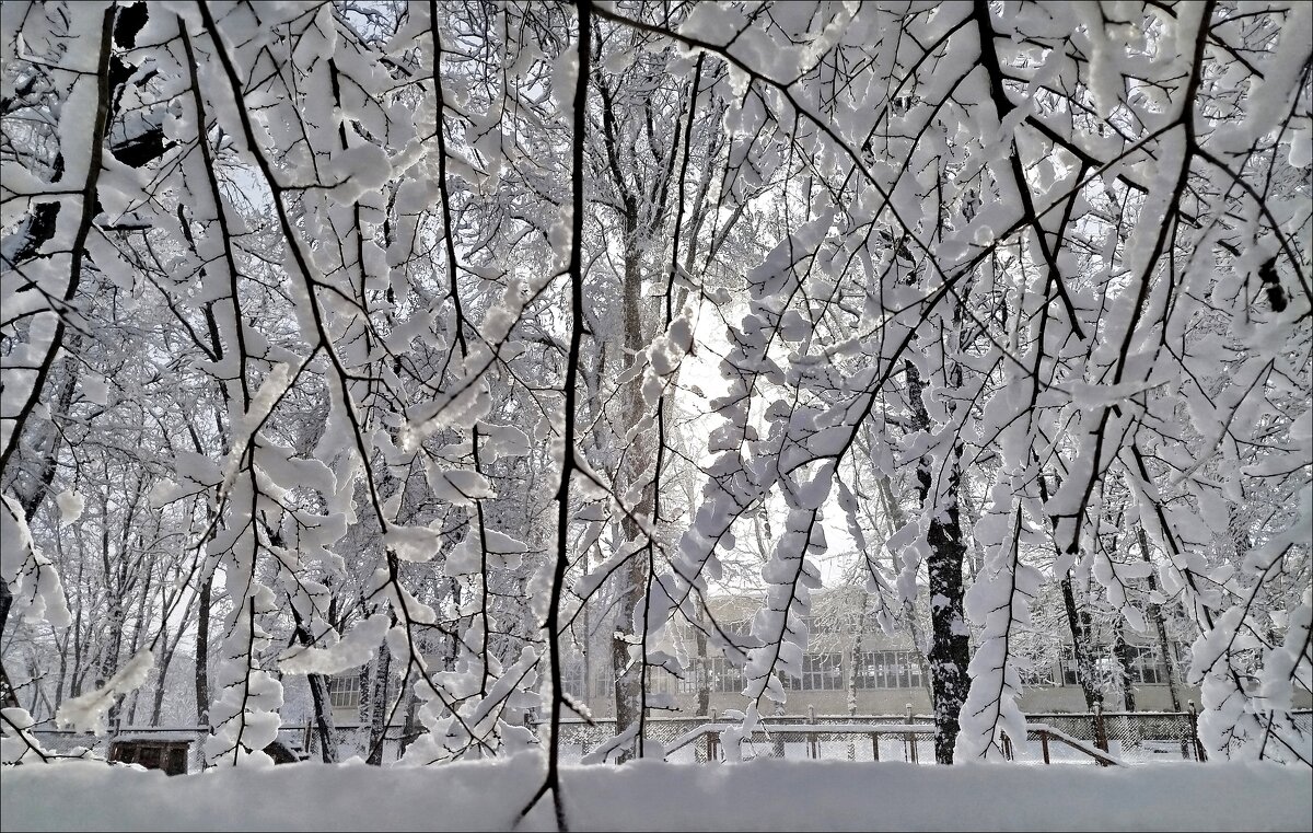 Зимние кружева! - Надежда Зимние кружева! - Надежда