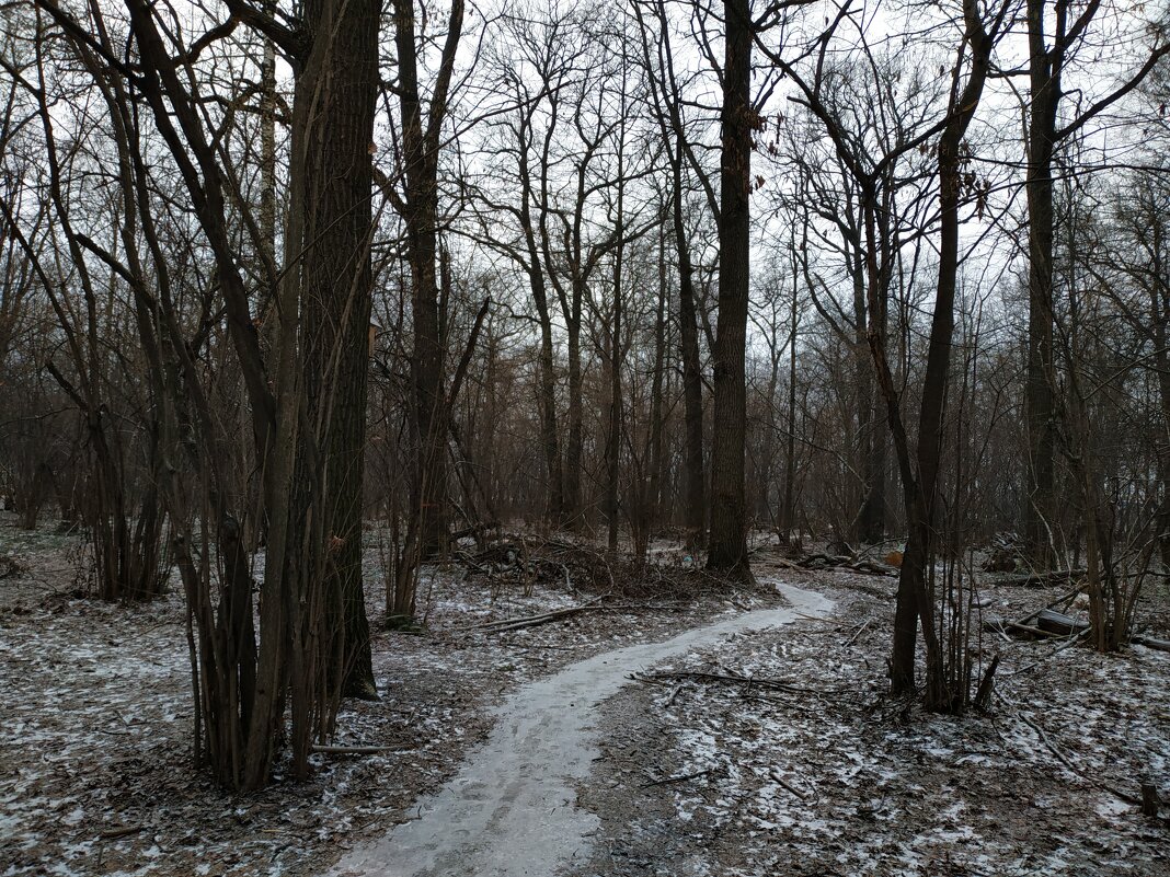 Как зиму ни снимай, получается ноябрь - Андрей Лукьянов