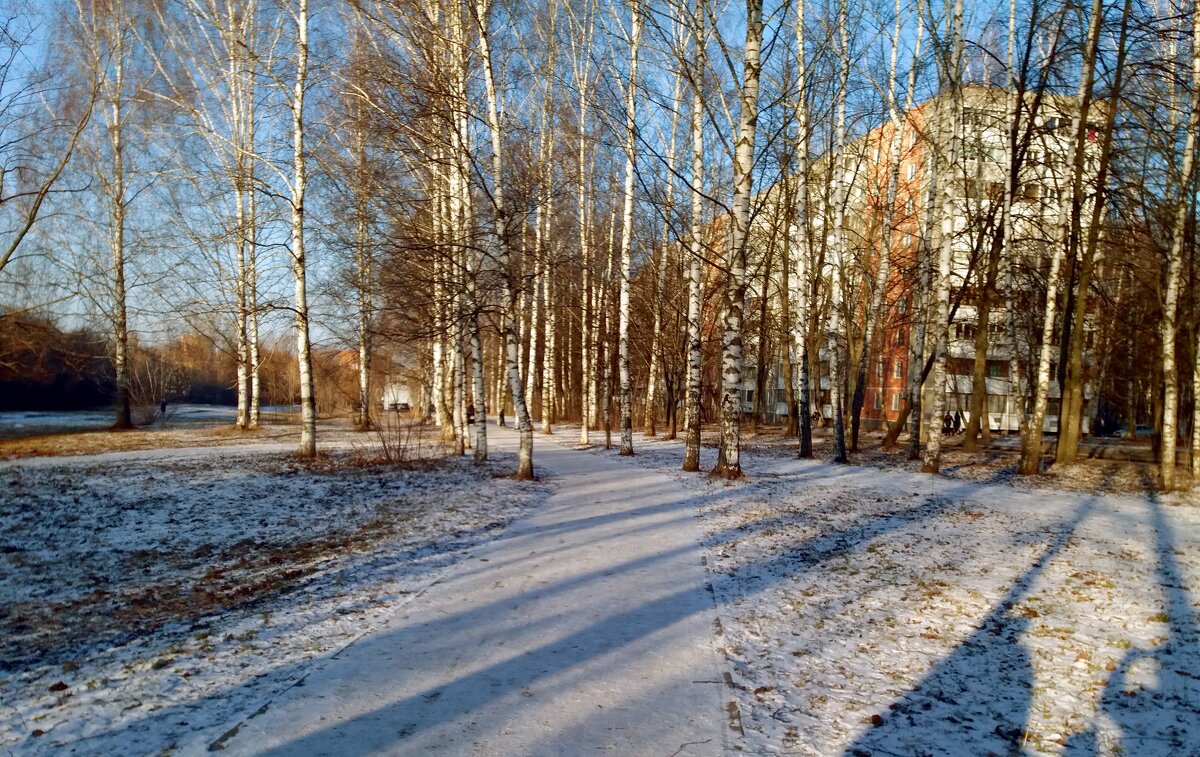 Слегка присыпало снежком - Galina Solovova