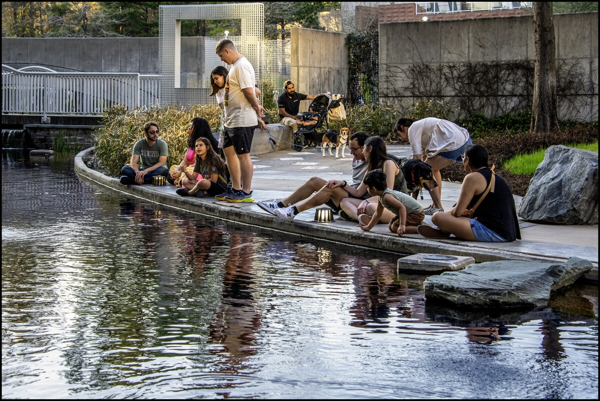 Японский пруд - **** vedin Японский пруд - **** vedin