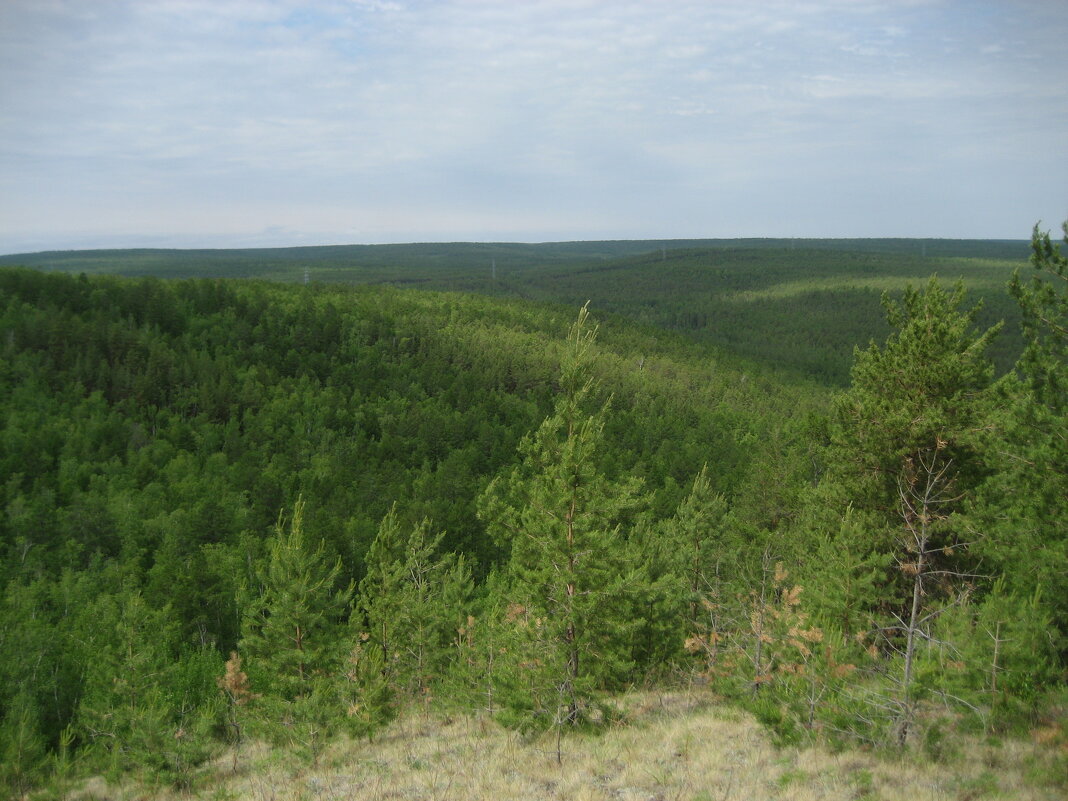 Лес - Anna Ivanova