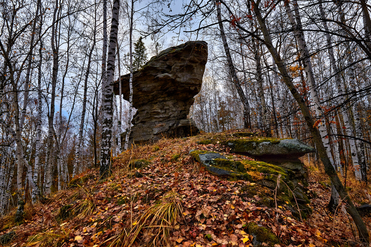 Где - то в октябрьском лесу. - Юрий кот Где - то в октябрьском лесу. - Юрий кот