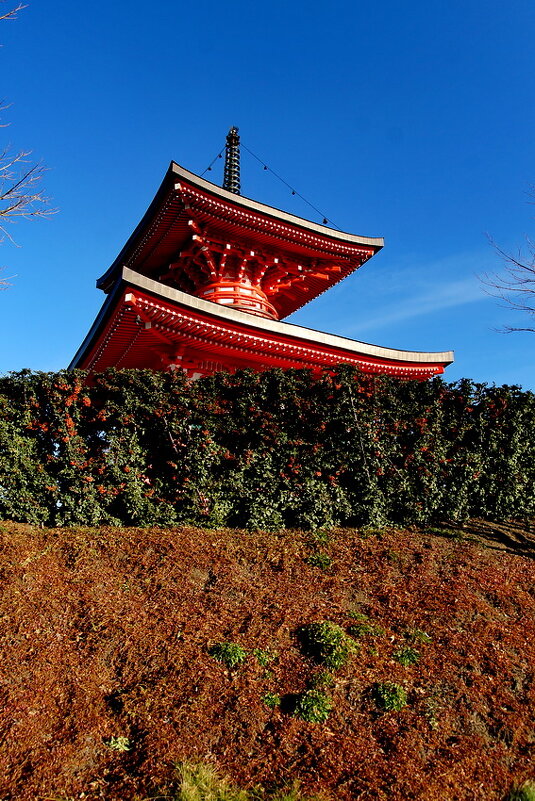 " Японский сад " парк Краснодар или Галицкого... - Николай Саржанов " Японский сад " парк Краснодар или Галицкого... - Николай Саржанов