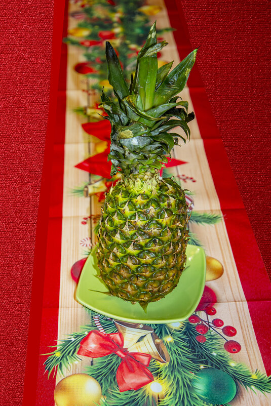 Ананас - Анатолий Чикчирный