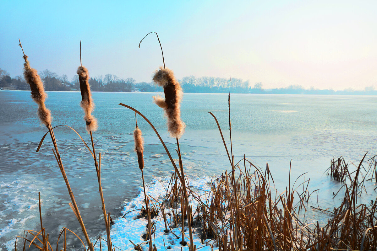 Зима на реке - Милорад 