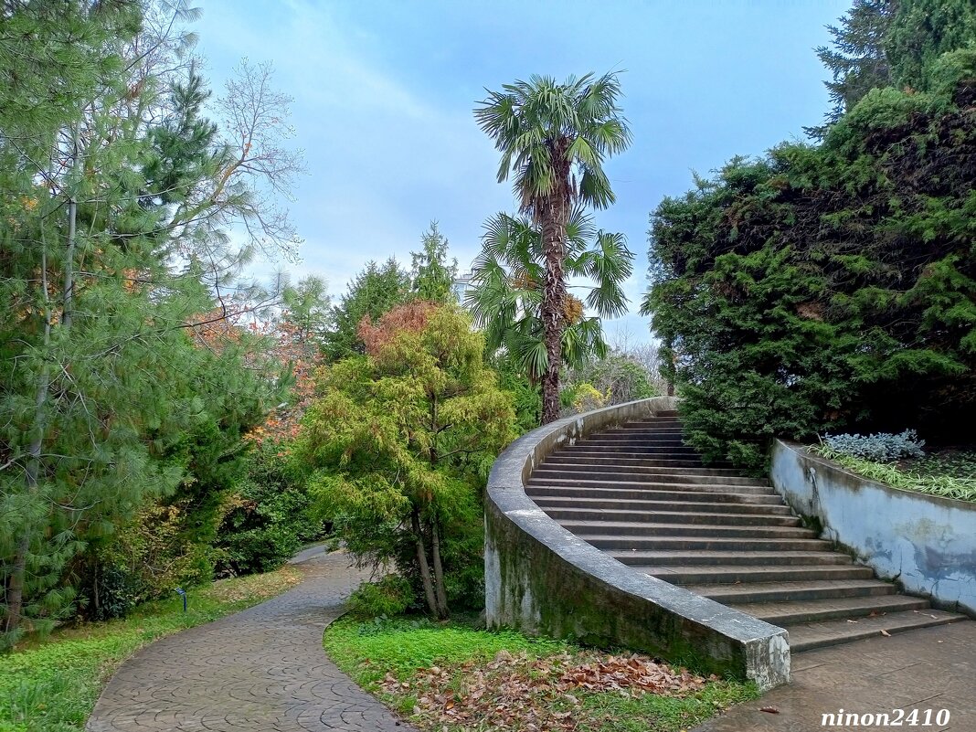 Адлер. Дендропарк "Южные культуры" - Нина Бутко Адлер. Дендропарк "Южные культуры" - Нина Бутко