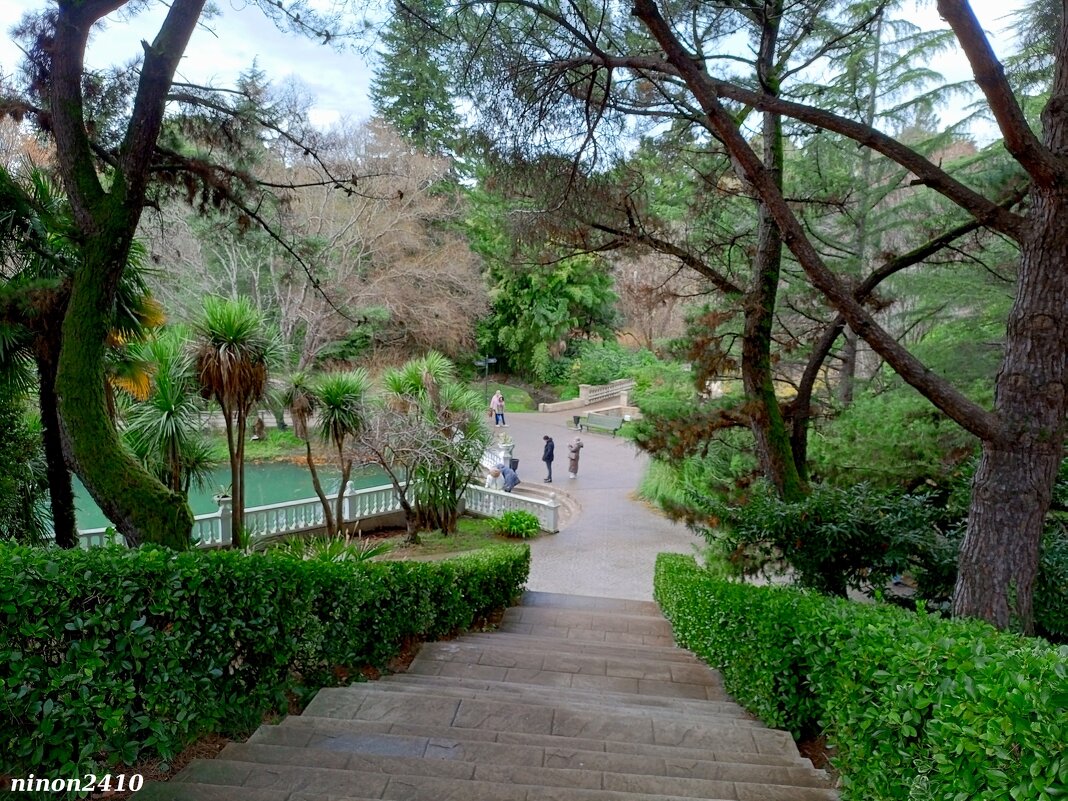 Адлер. Дендропарк "Южные культуры" - Нина Бутко Адлер. Дендропарк "Южные культуры" - Нина Бутко