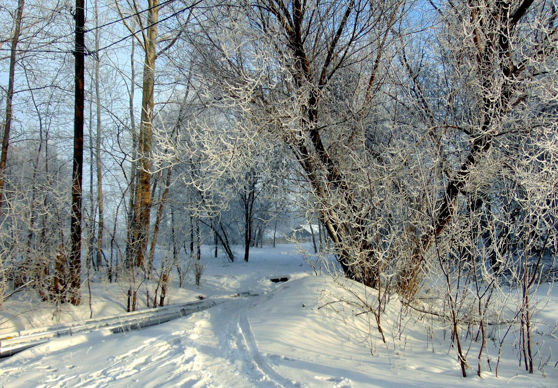 По зимнему парку гуляя. - nadyasilyuk Вознюк