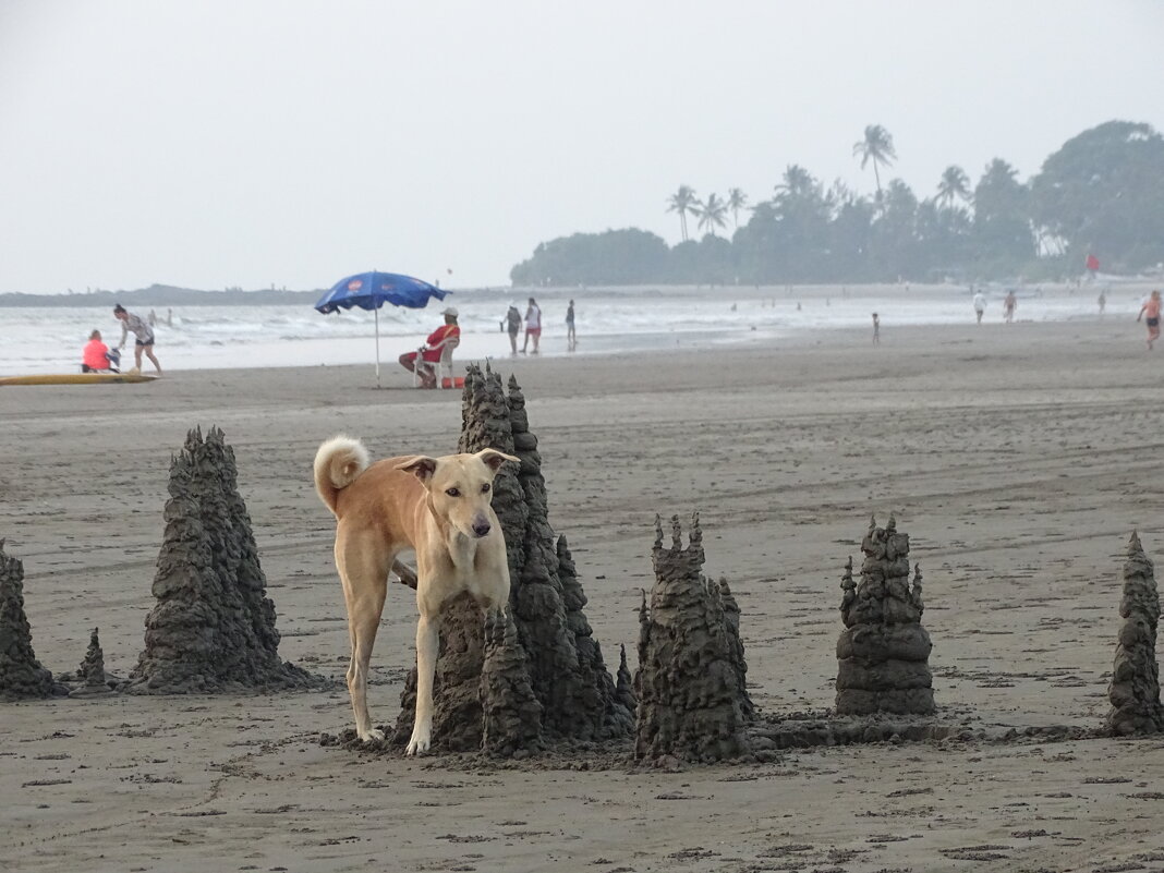 Добавим закрепителя - Павел Трунцев