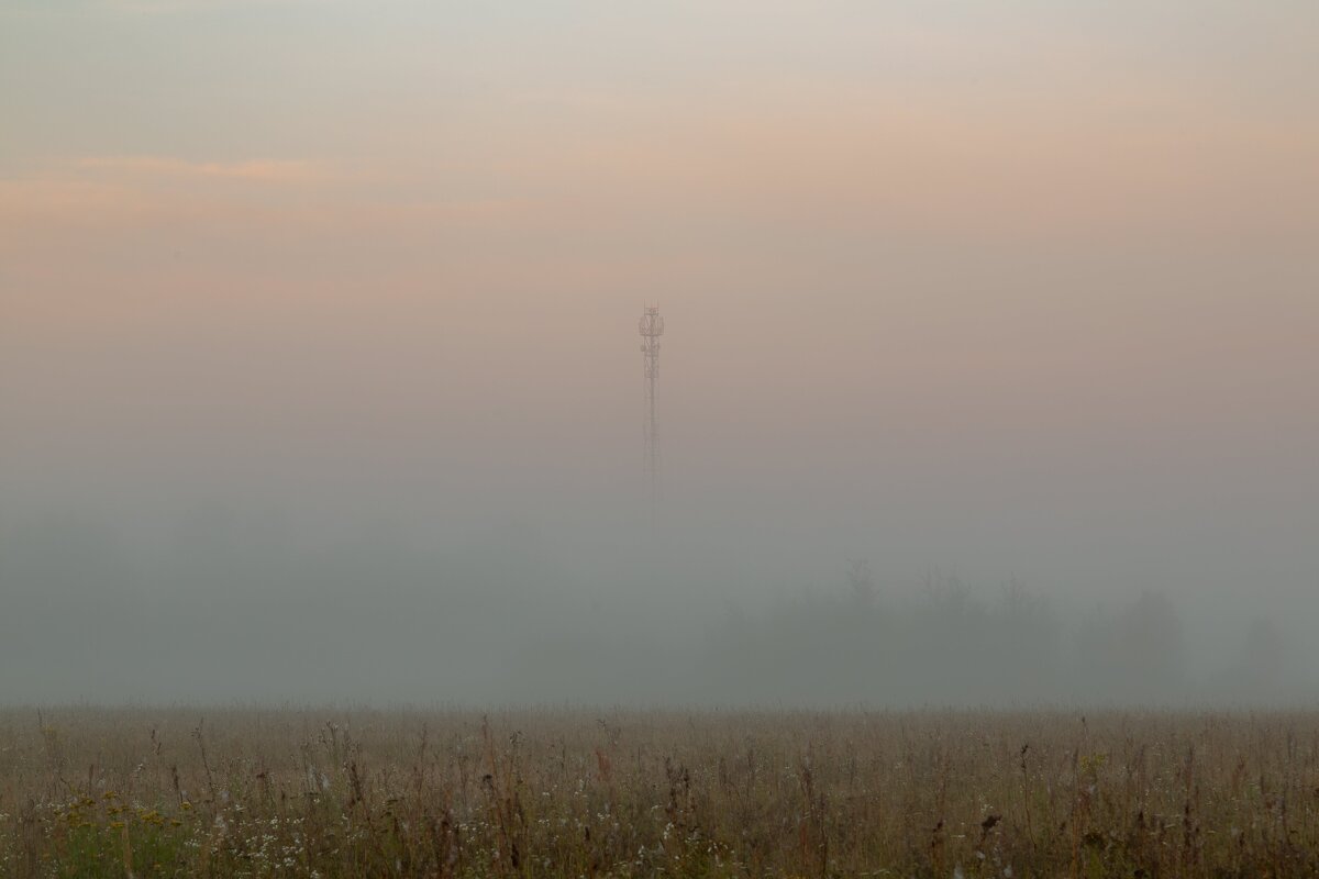 "Билайн" на рассвете. - Сергей Татаринов