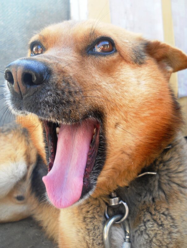 Бек - Татьяна Иваненкова