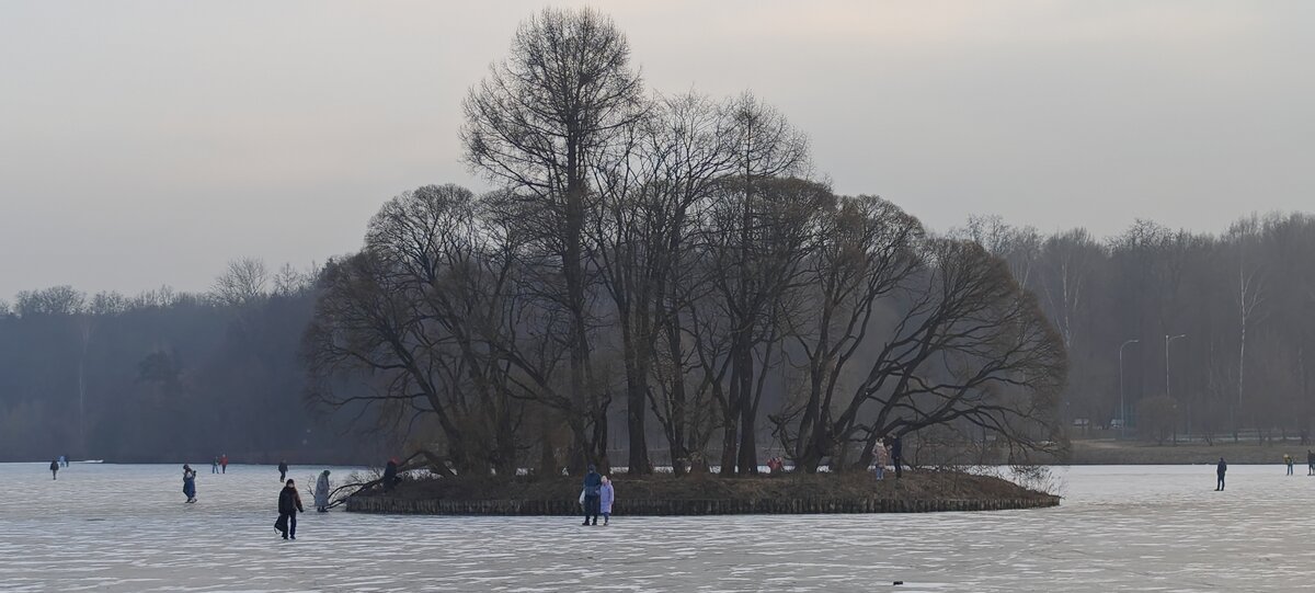 Февраль на Царицынских прудах - <<< Наташа >>> Февраль на Царицынских прудах - <<< Наташа >>>