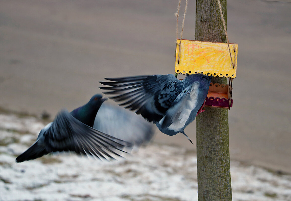 Очередь - Светлана Очередь - Светлана