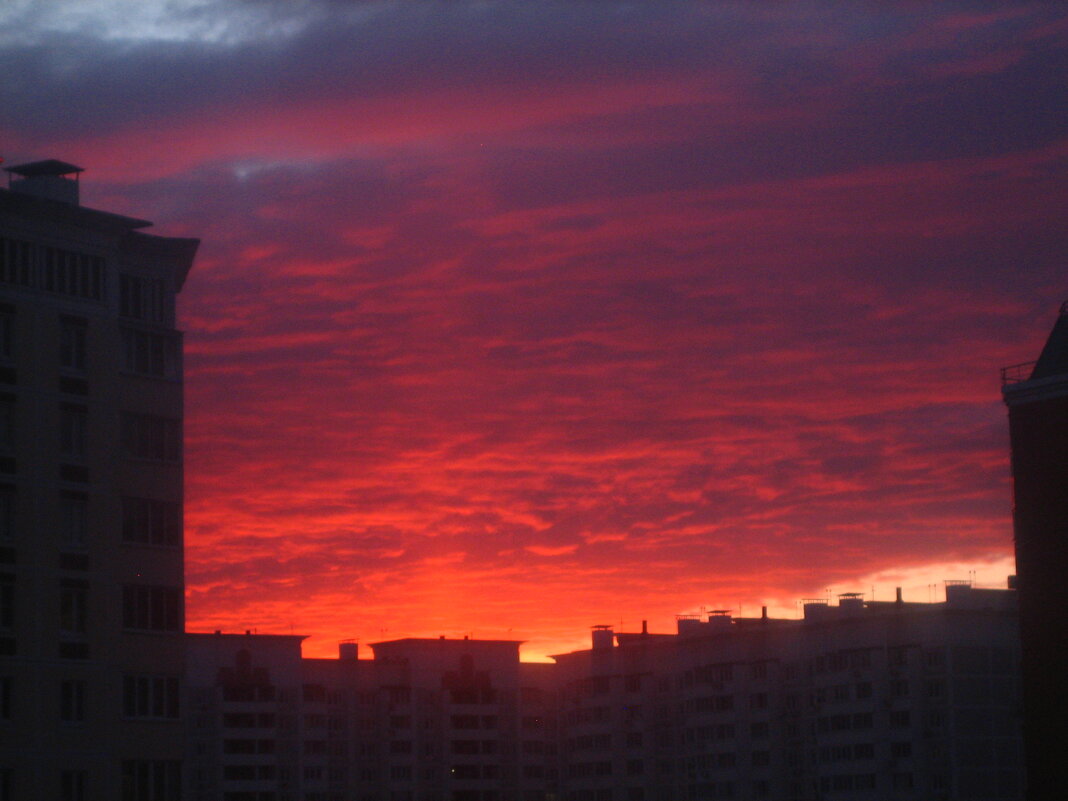 ... - Александр Кольцов