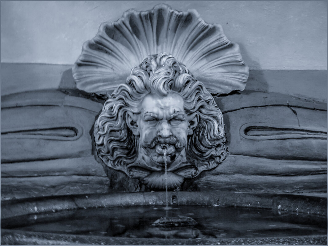 Февраль - Водолей - Наталья Rosenwasser