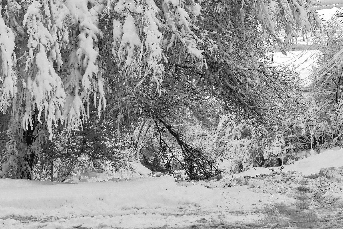 Снежная посадка - Юрий Гайворонскiий