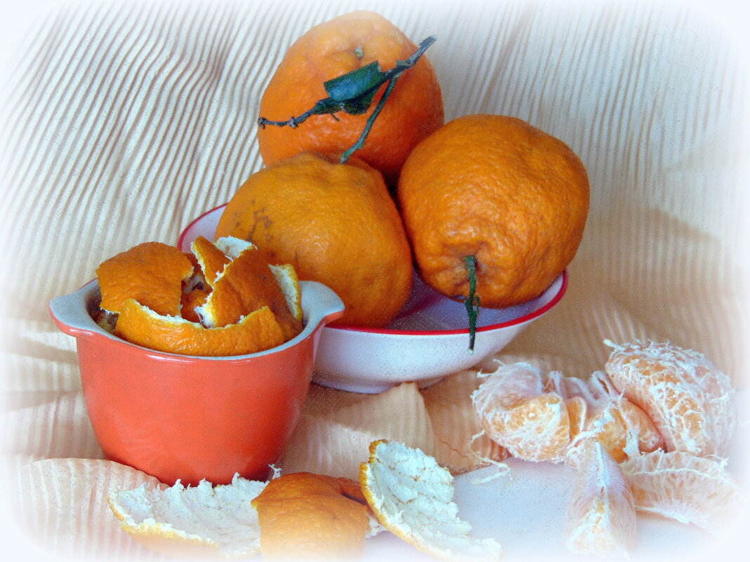 Мандаринки. - nadyasilyuk Вознюк Мандаринки. - nadyasilyuk Вознюк