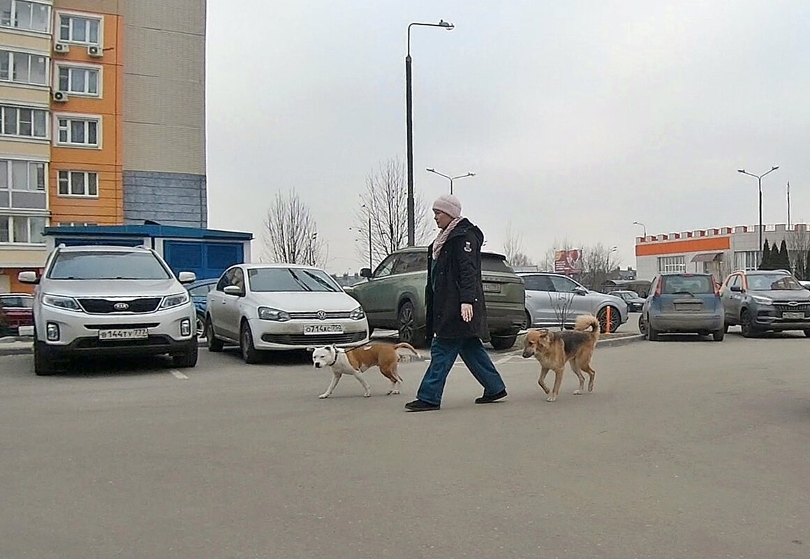 И побегать негде - Валерий Иванович И побегать негде - Валерий Иванович