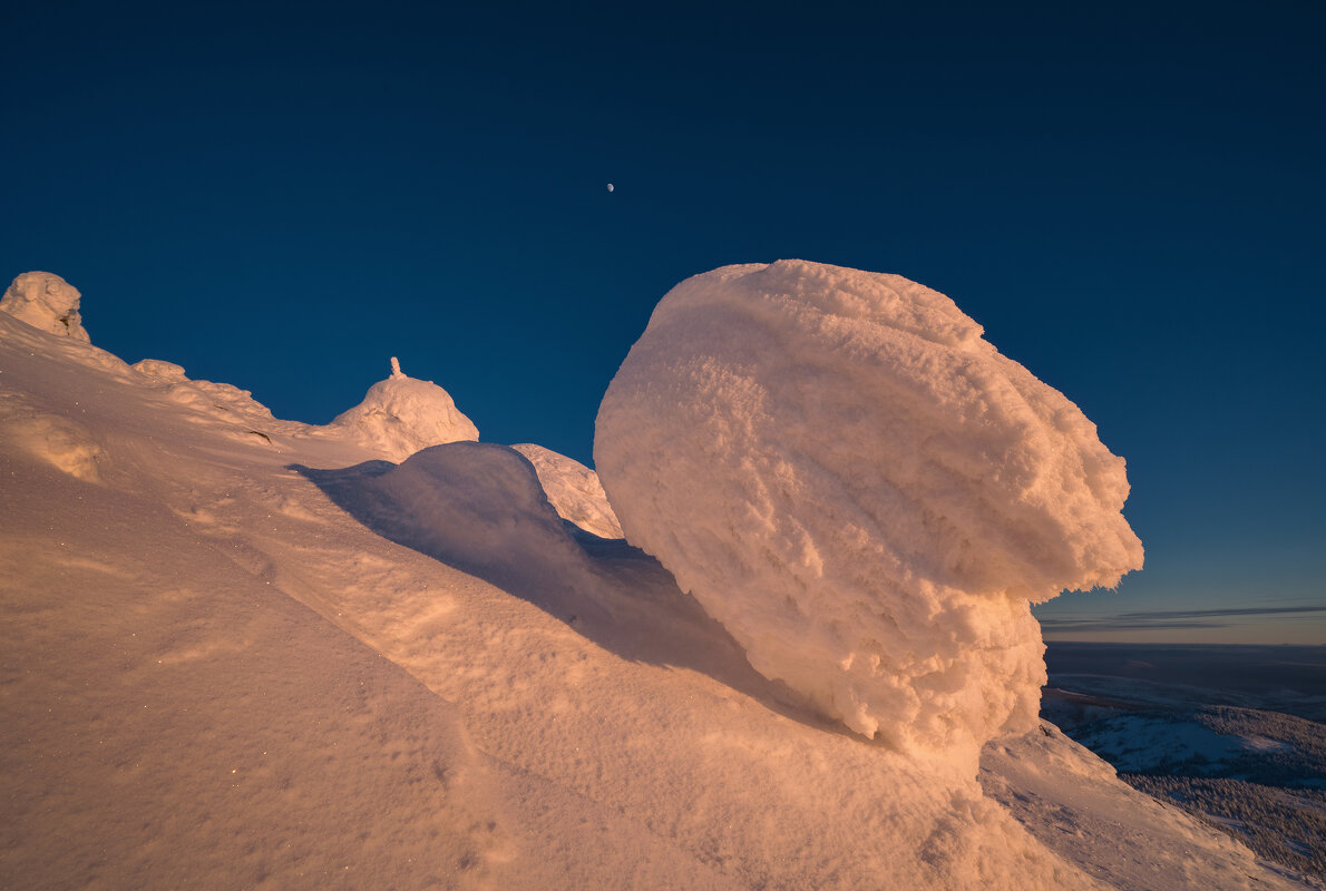 "кучерявый лес" - Александр Иванов