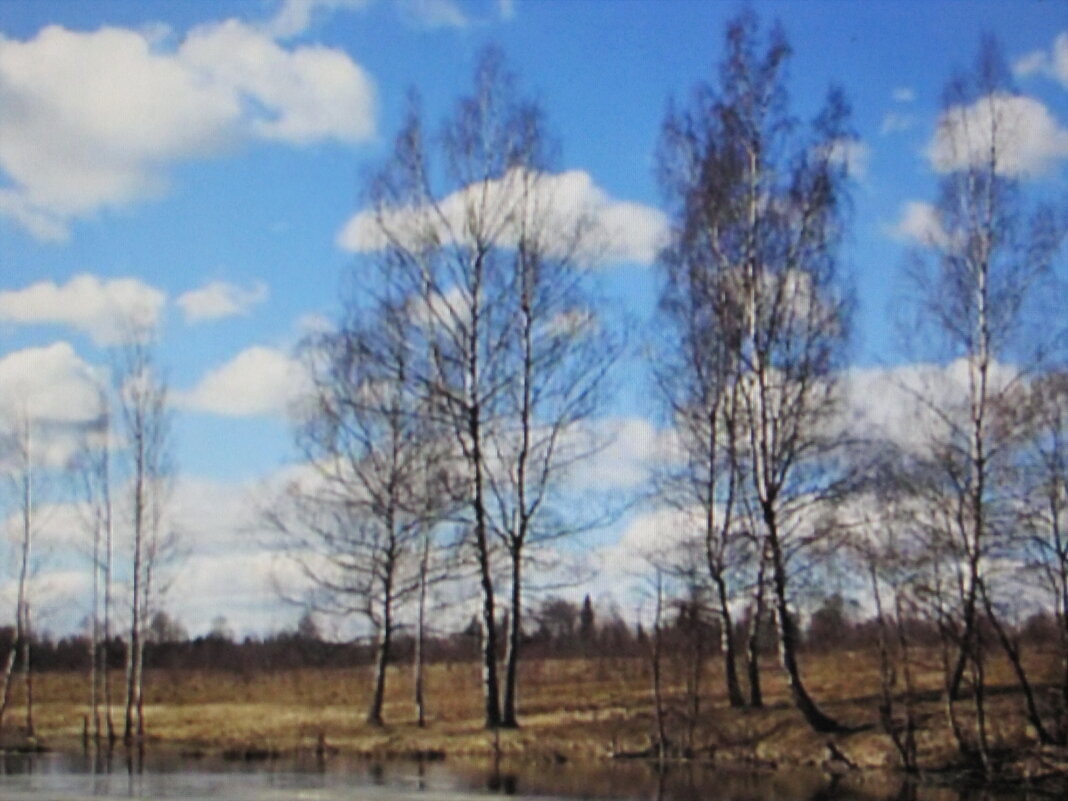 В солнечный денёк - Людмила Смородинская В солнечный денёк - Людмила Смородинская